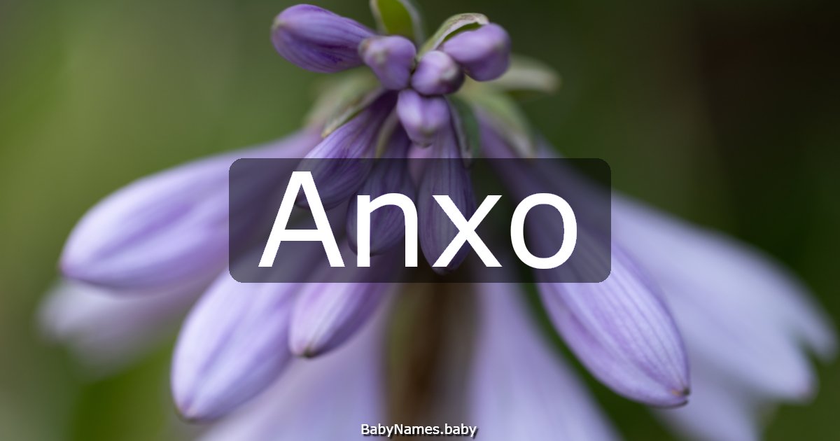 Anxo