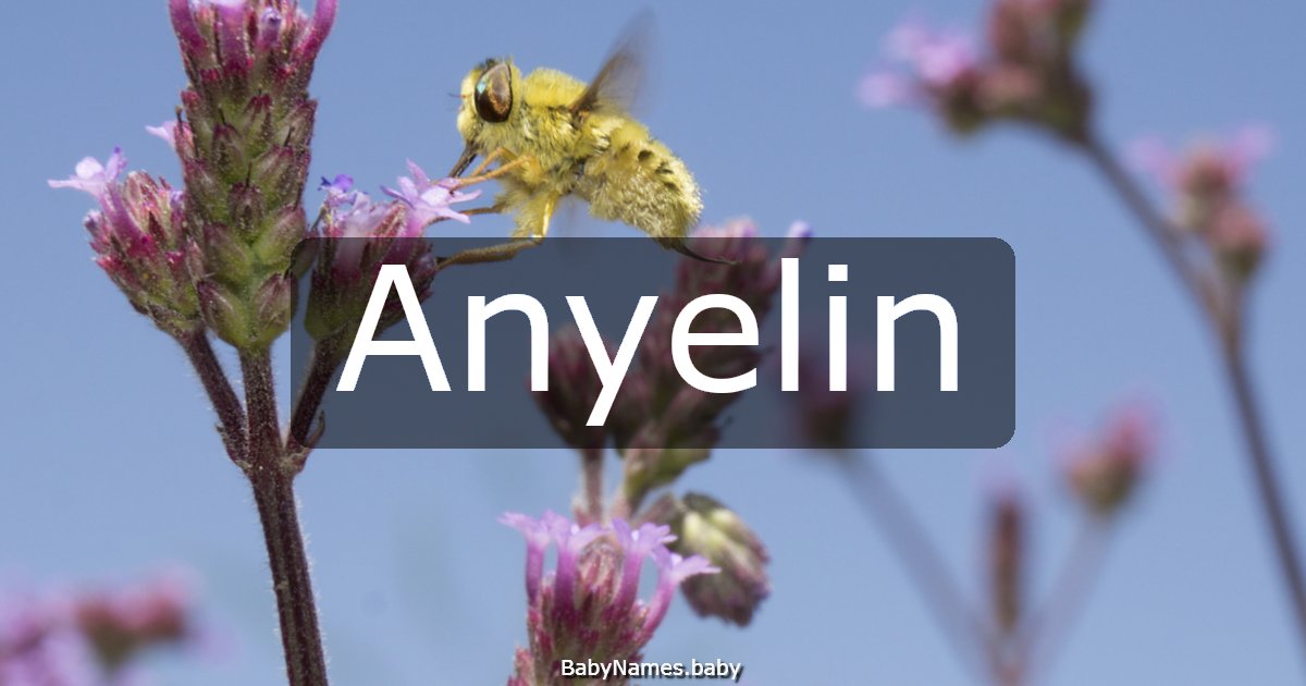 Anyelin