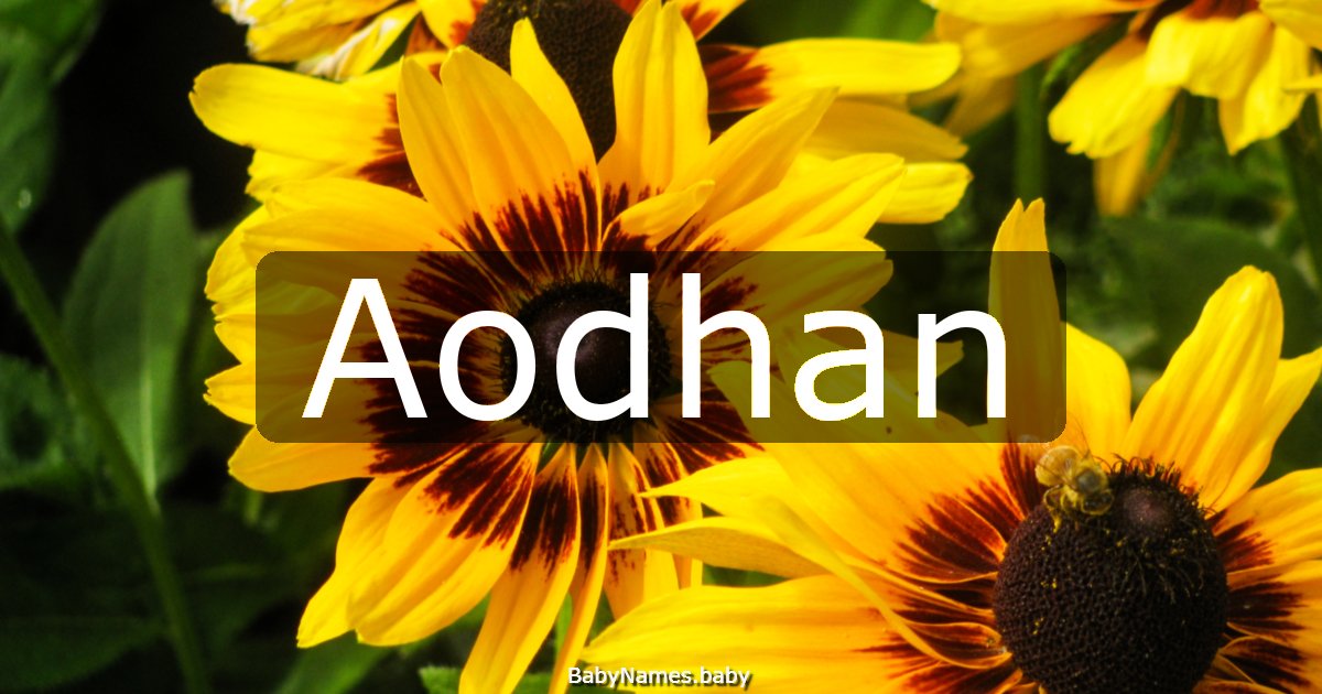 Aodhan