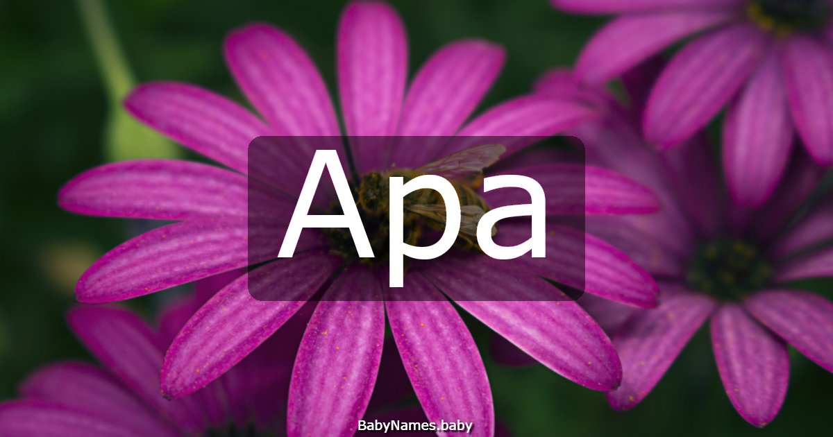 Apa
