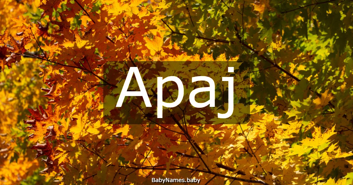 Apaj