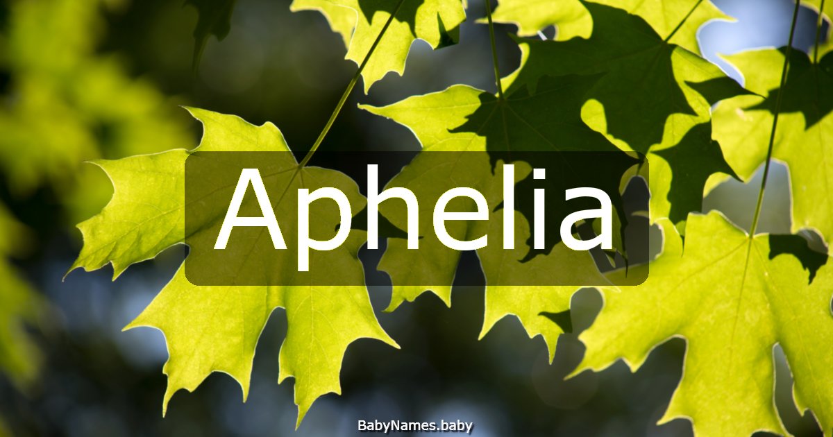 Aphelia