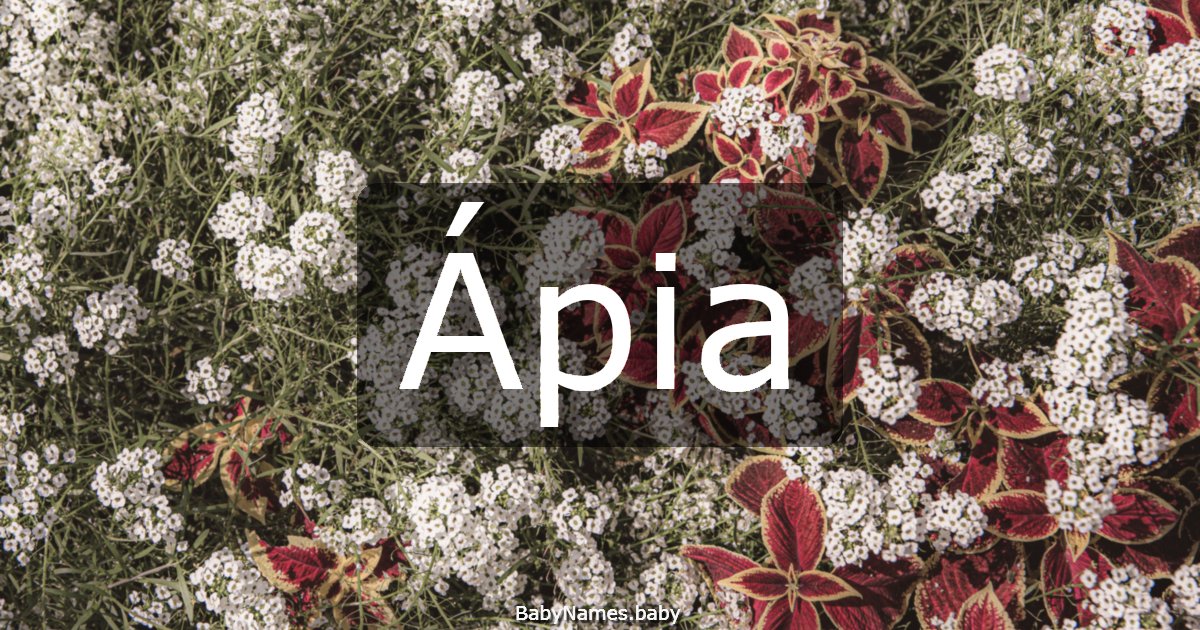 Ápia