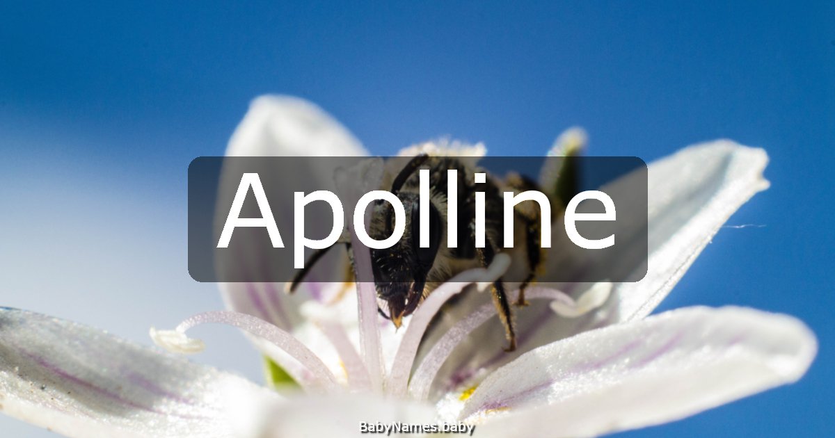 Apolline