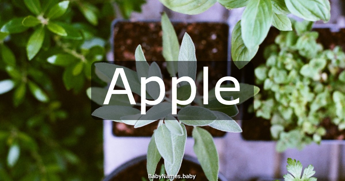 Apple