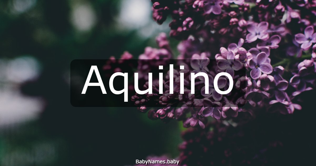 Aquilino