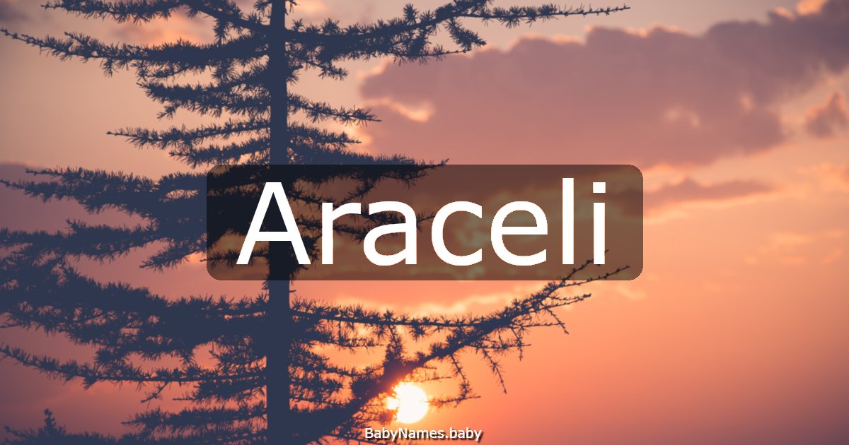 Araceli