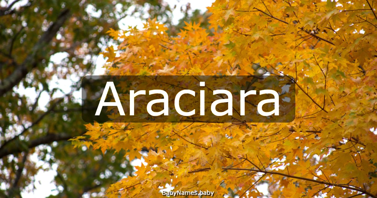 Araciara