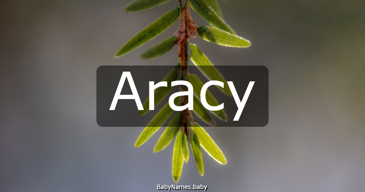 Aracy