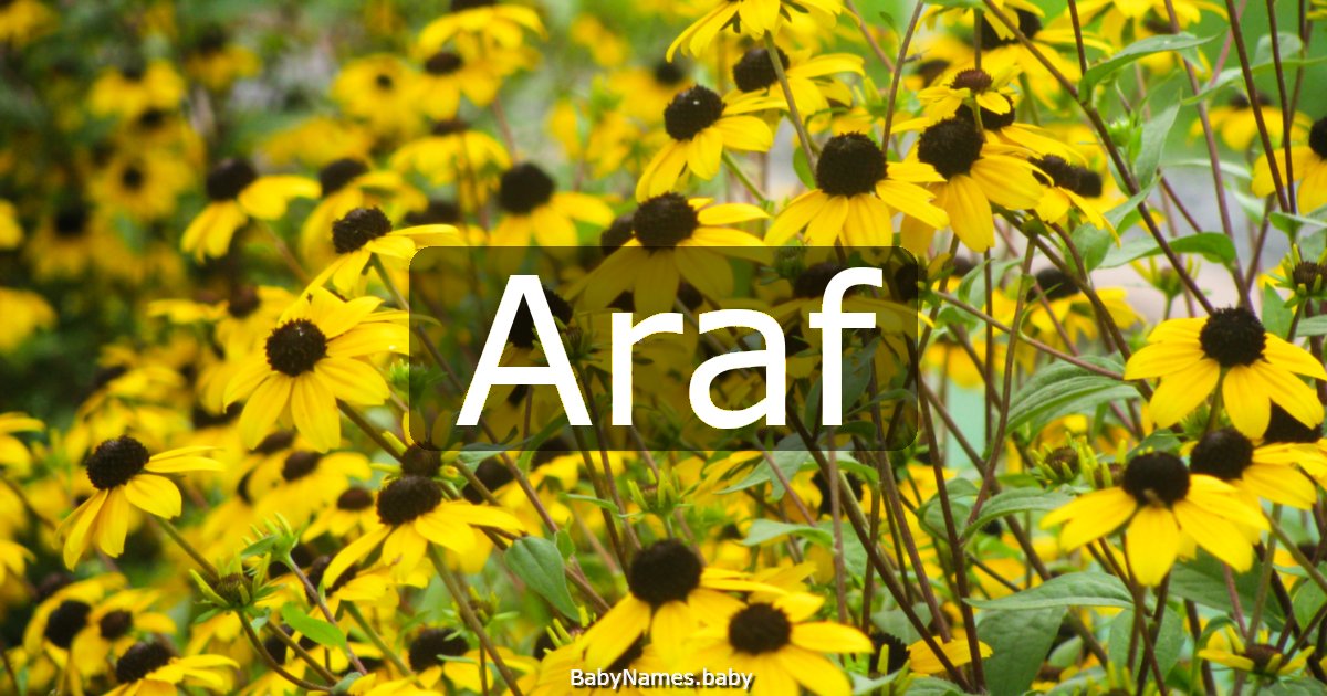 Araf