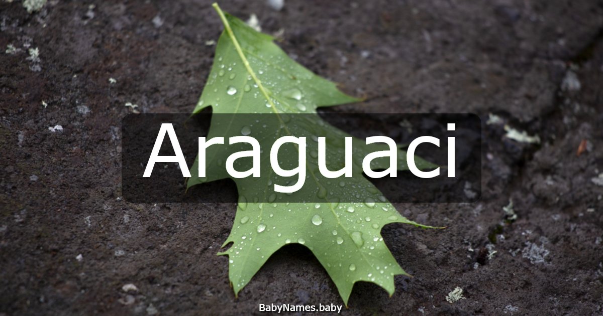 Araguaci