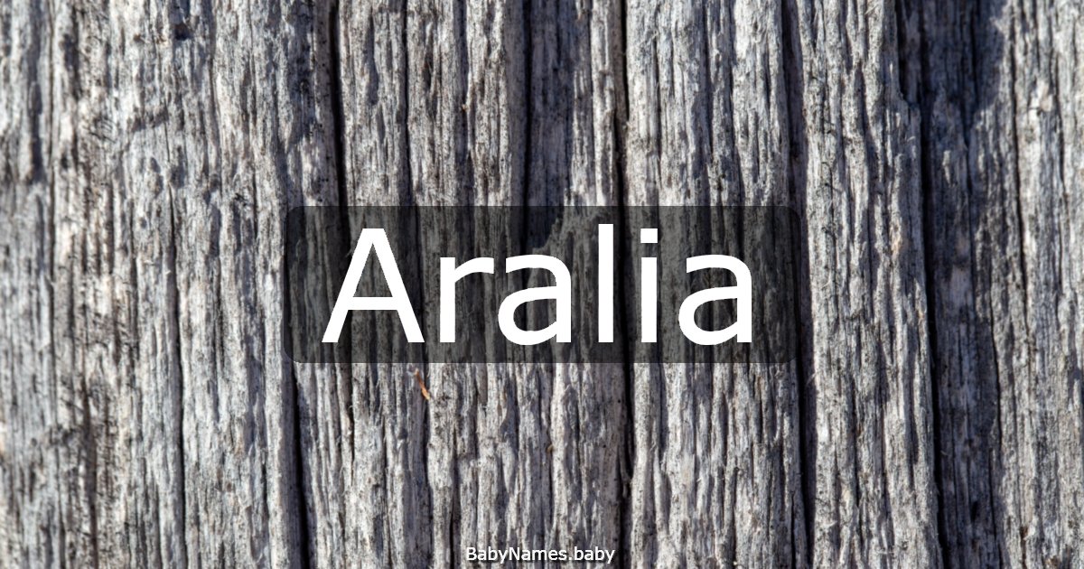 Aralia