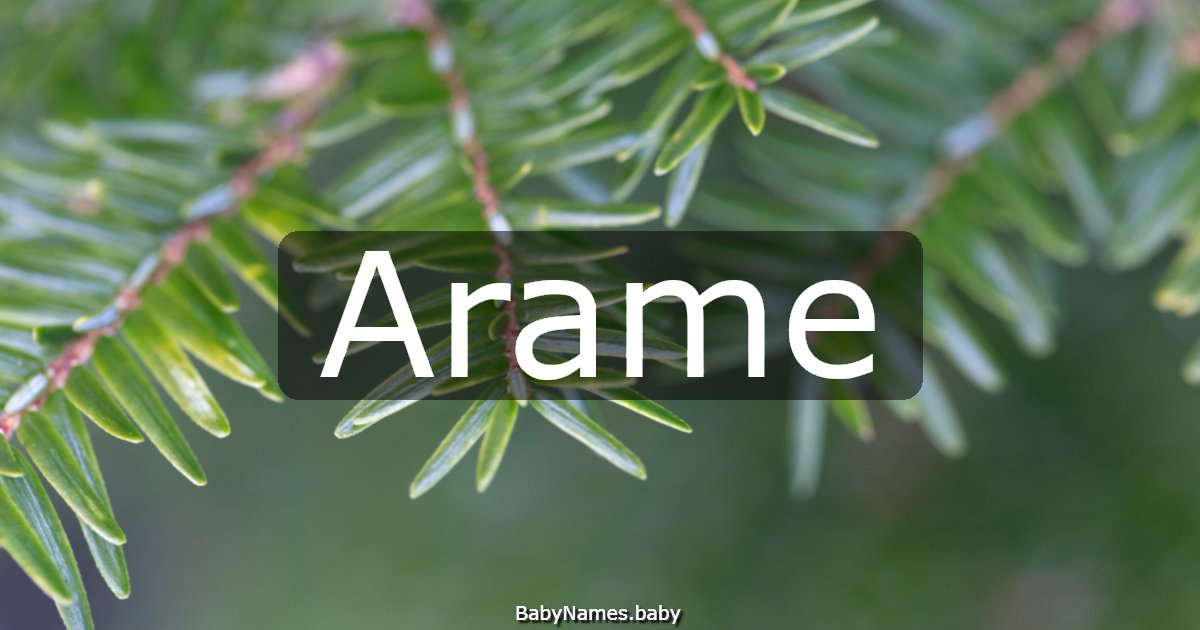 Arame