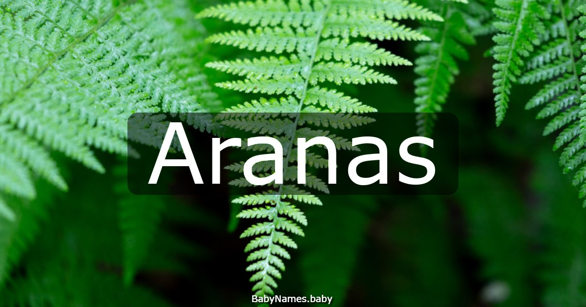 Aranas