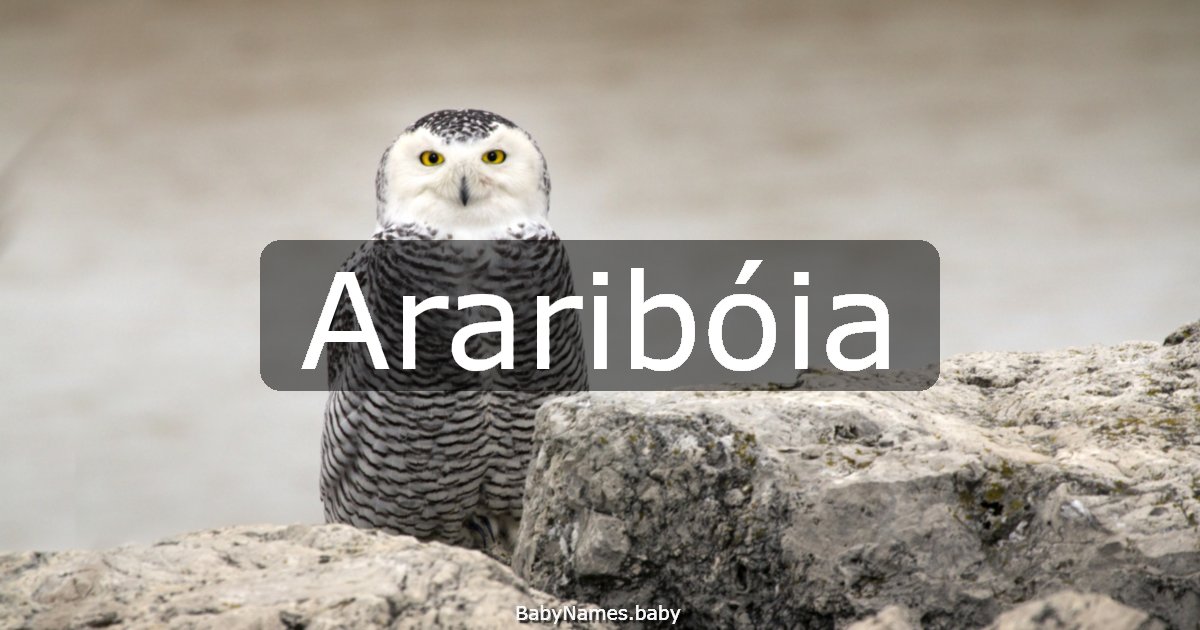 Araribóia