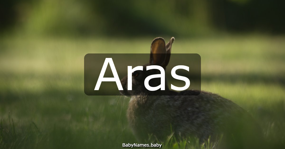 Aras