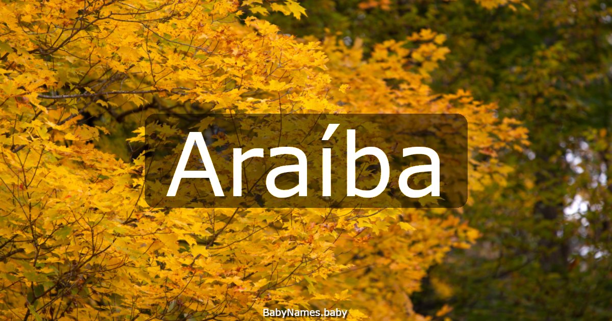Araíba