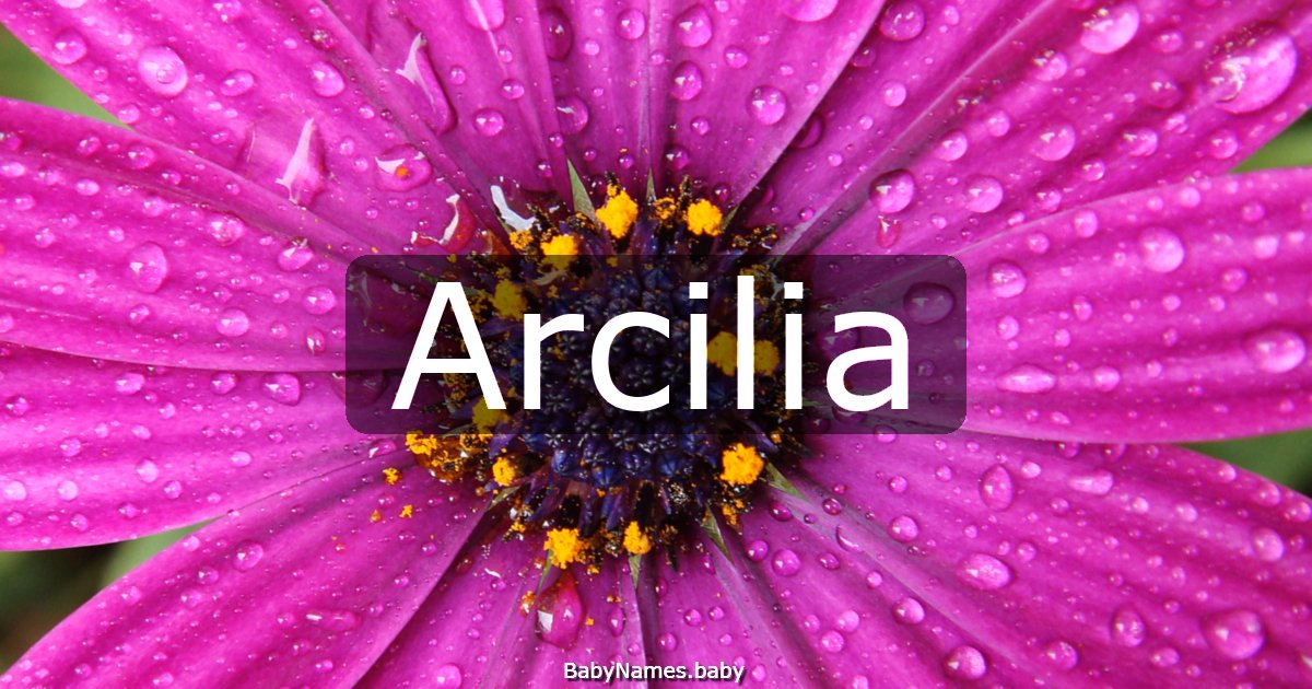Arcilia