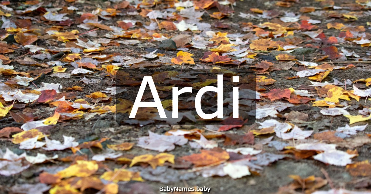 Ardi