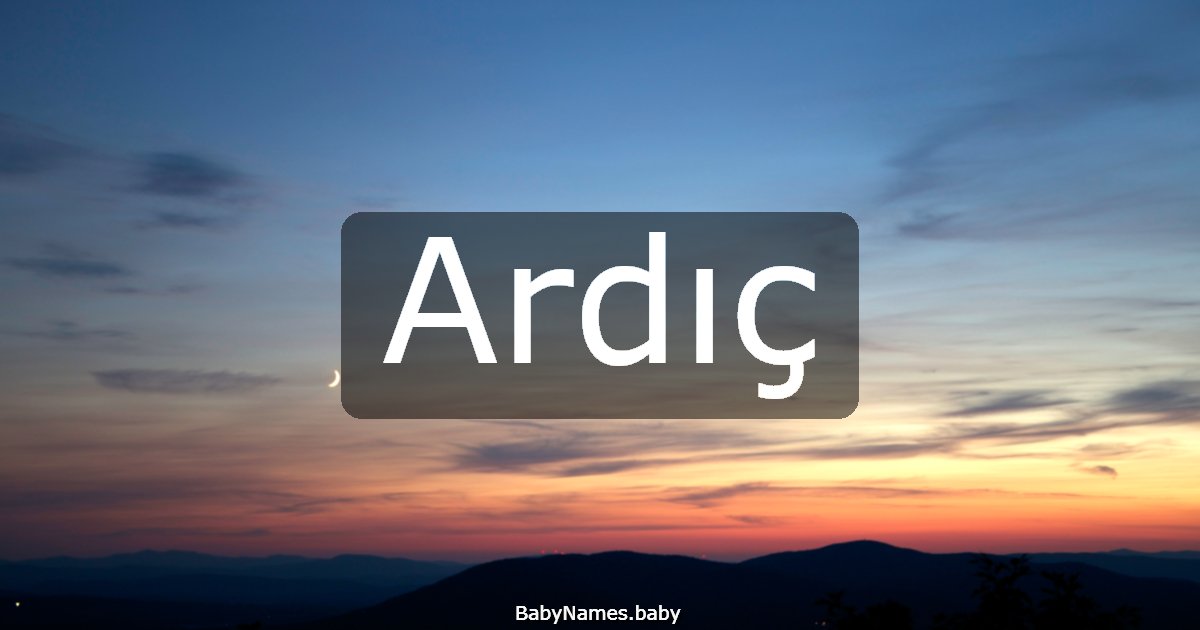 Ardıç