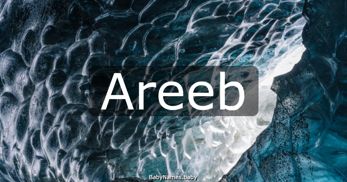 Areeb
