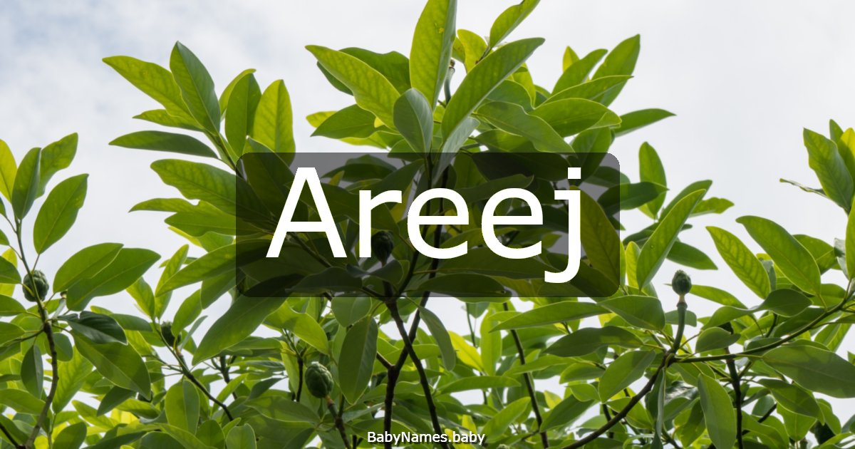 Areej