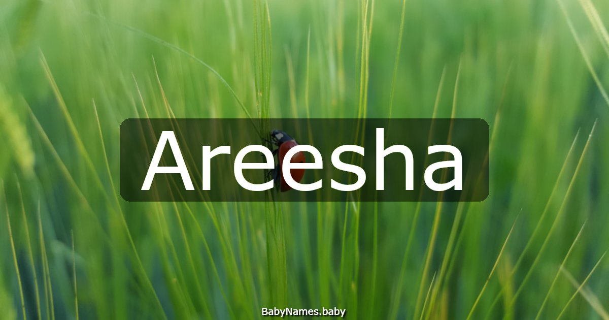 Areesha