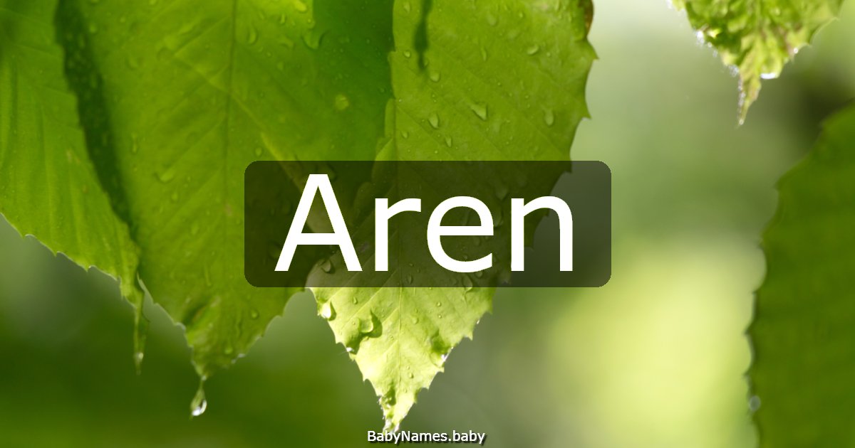 Aren