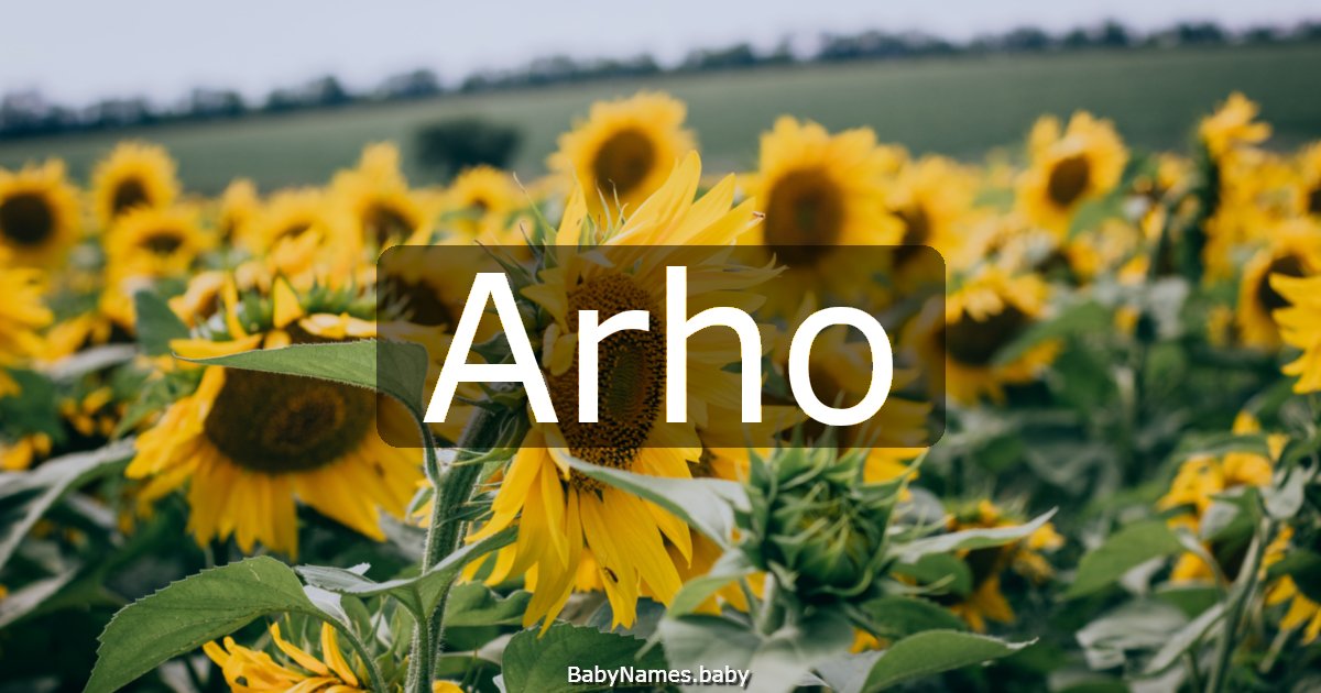 Arho
