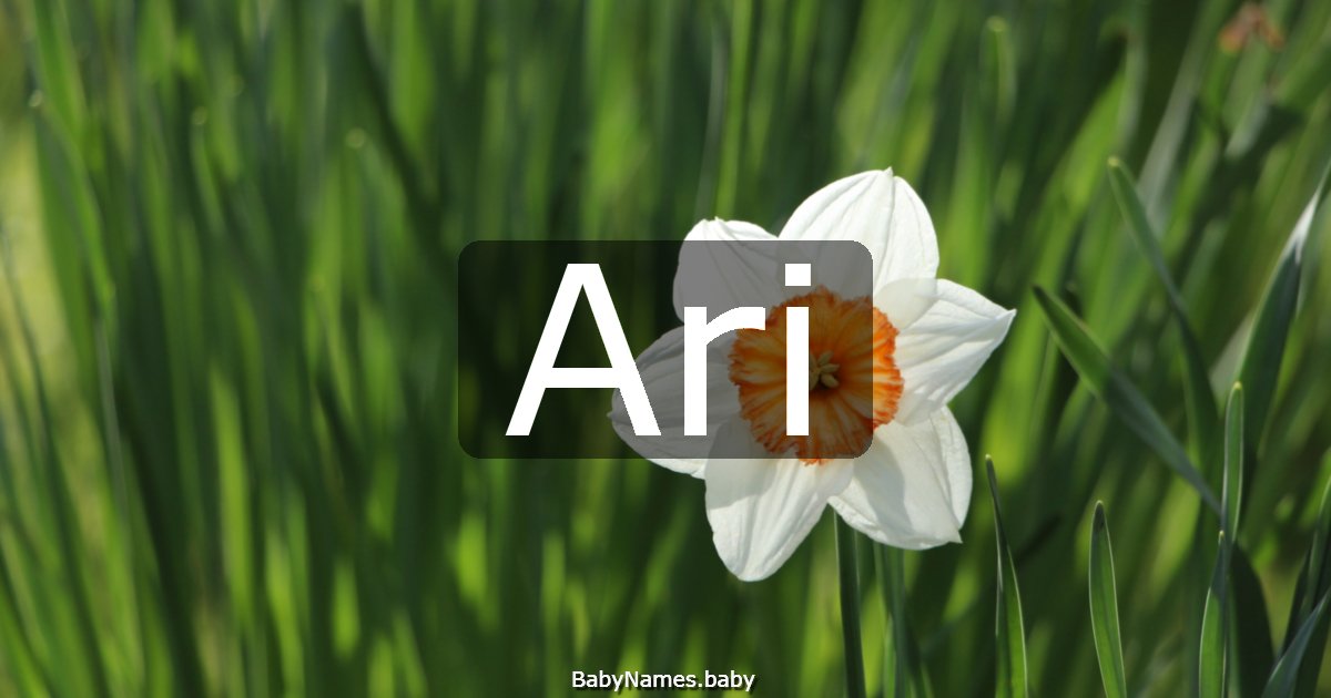 Ari