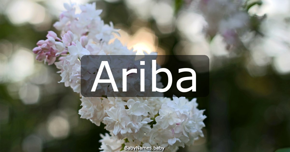 Ariba