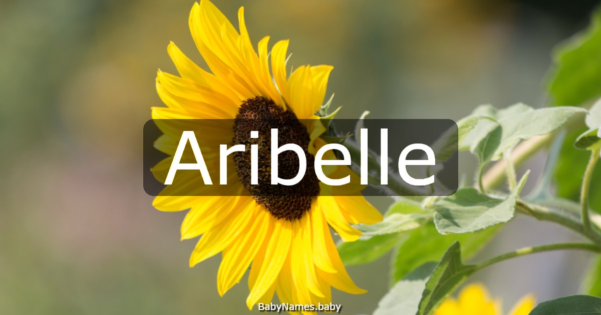 Aribelle