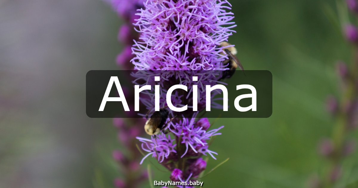 Aricina