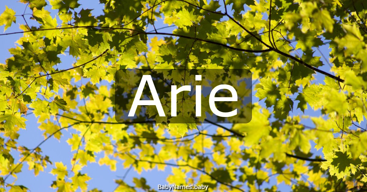 Arie