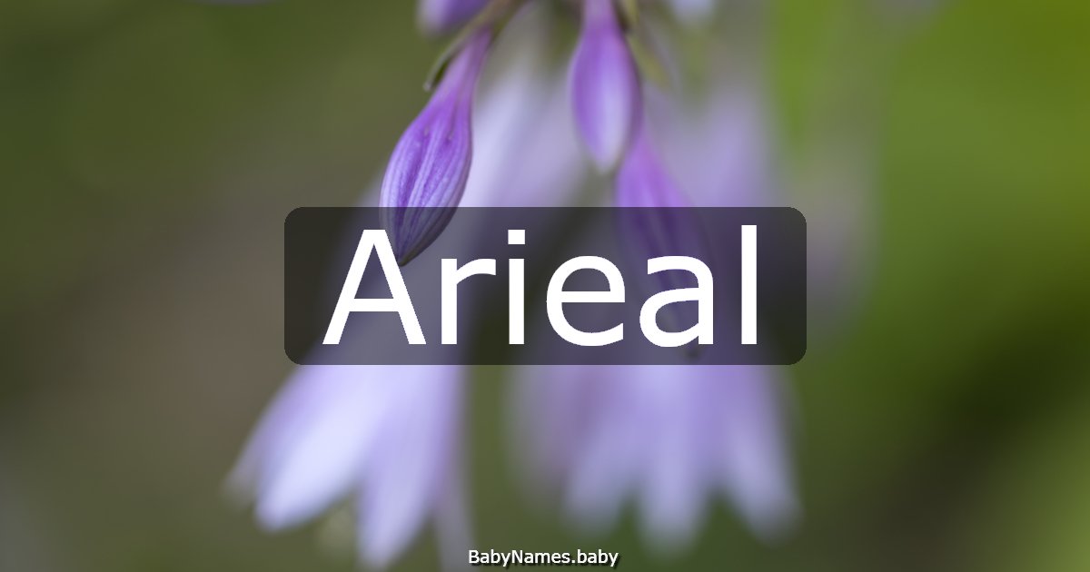 Arieal