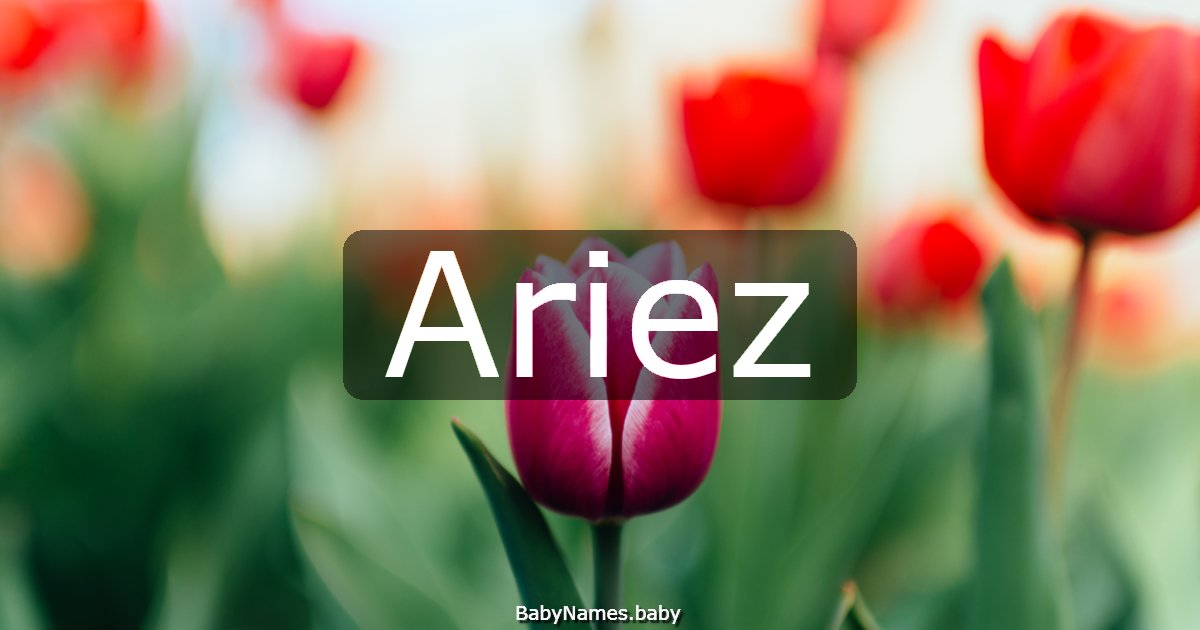 Ariez