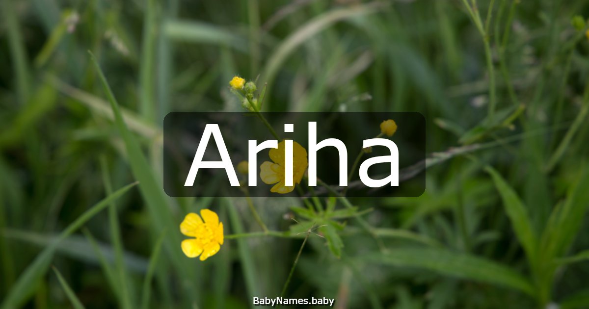 Ariha