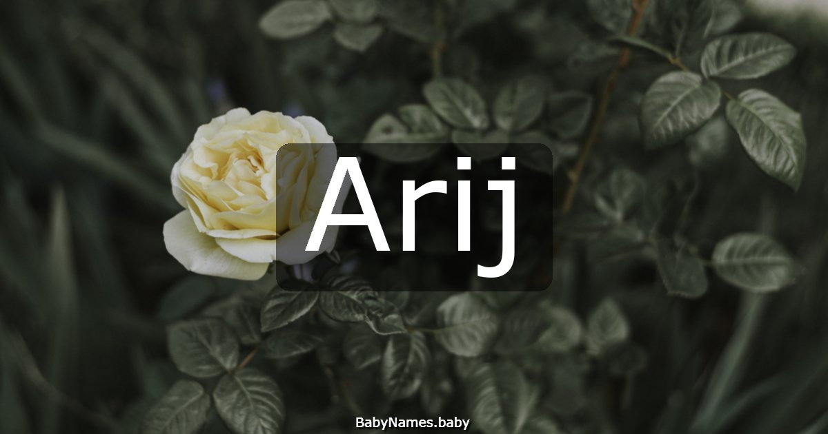 Arij
