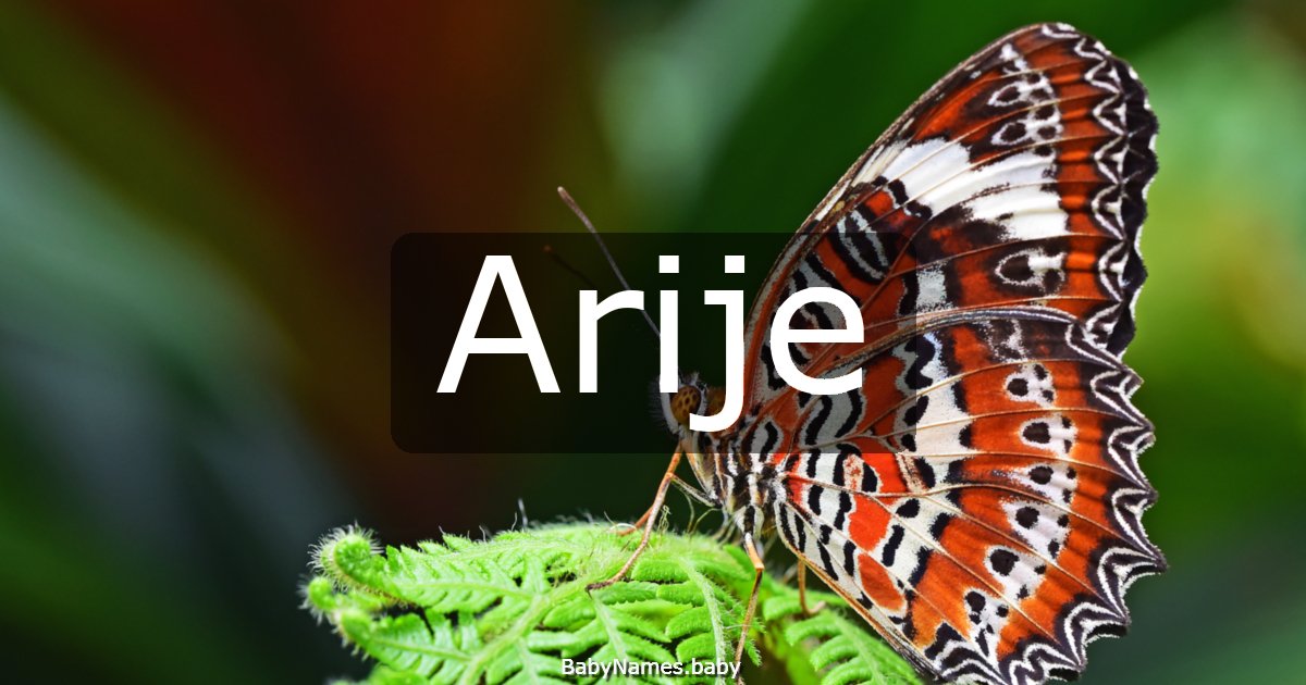 Arije
