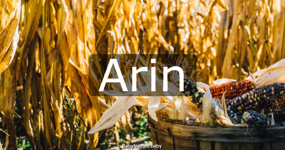 Arin