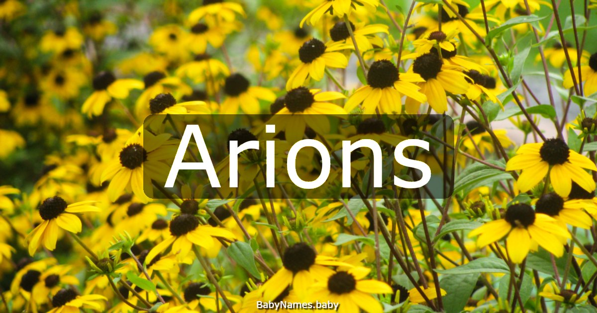 Arions