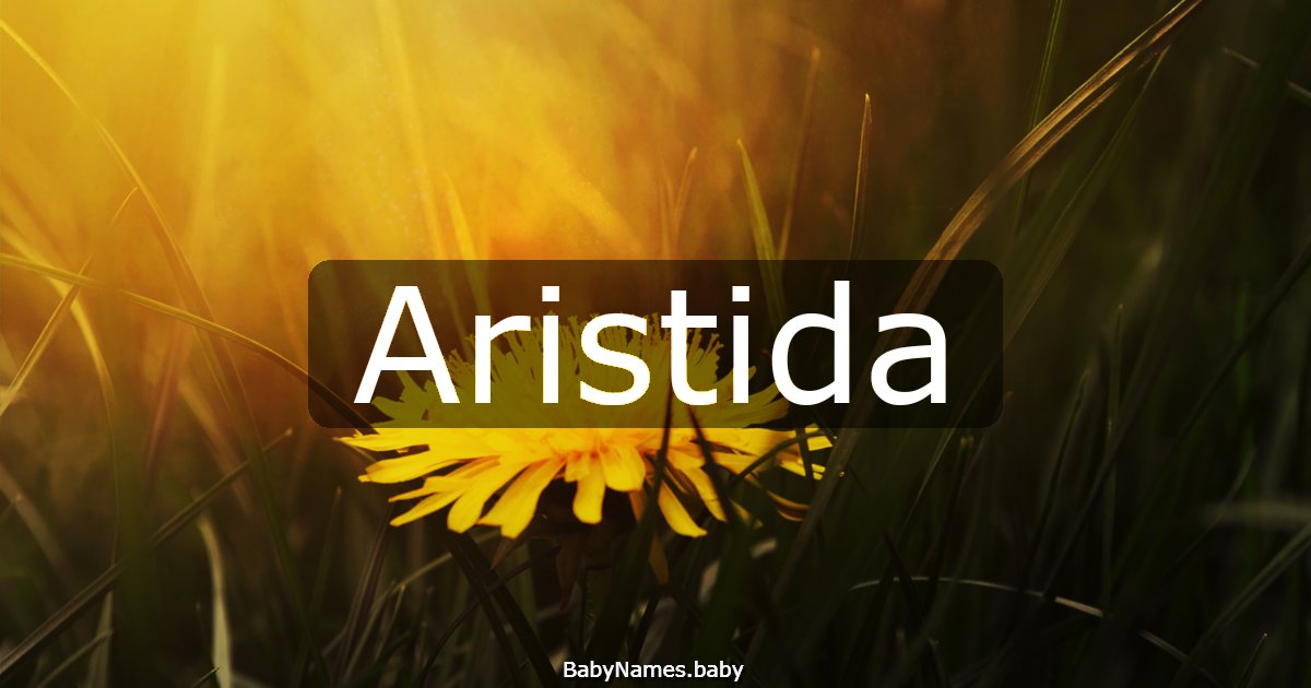Aristida