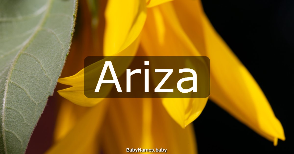 Ariza