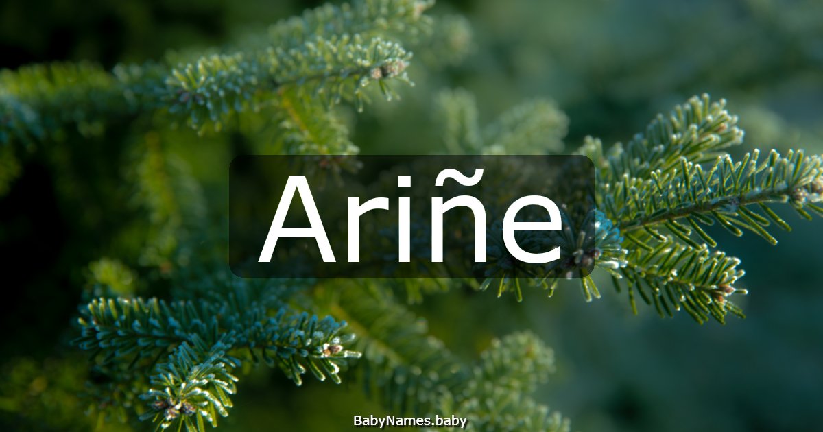 Ariñe