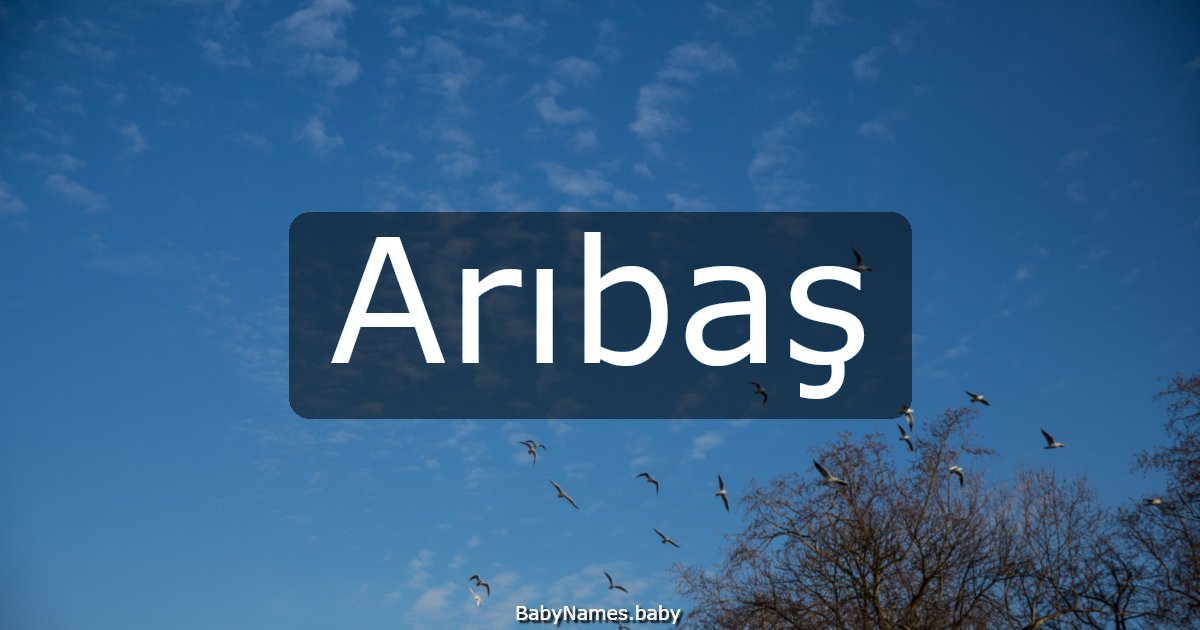 Arıbaş