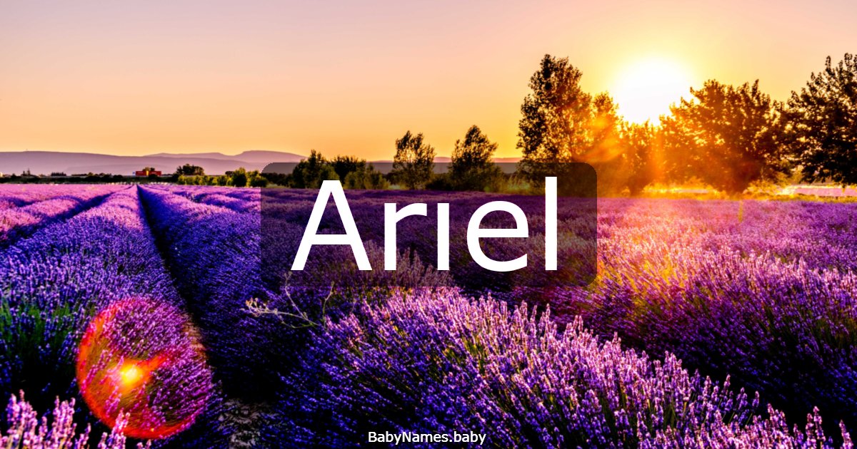 Arıel