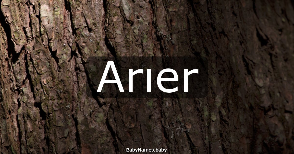 Arıer