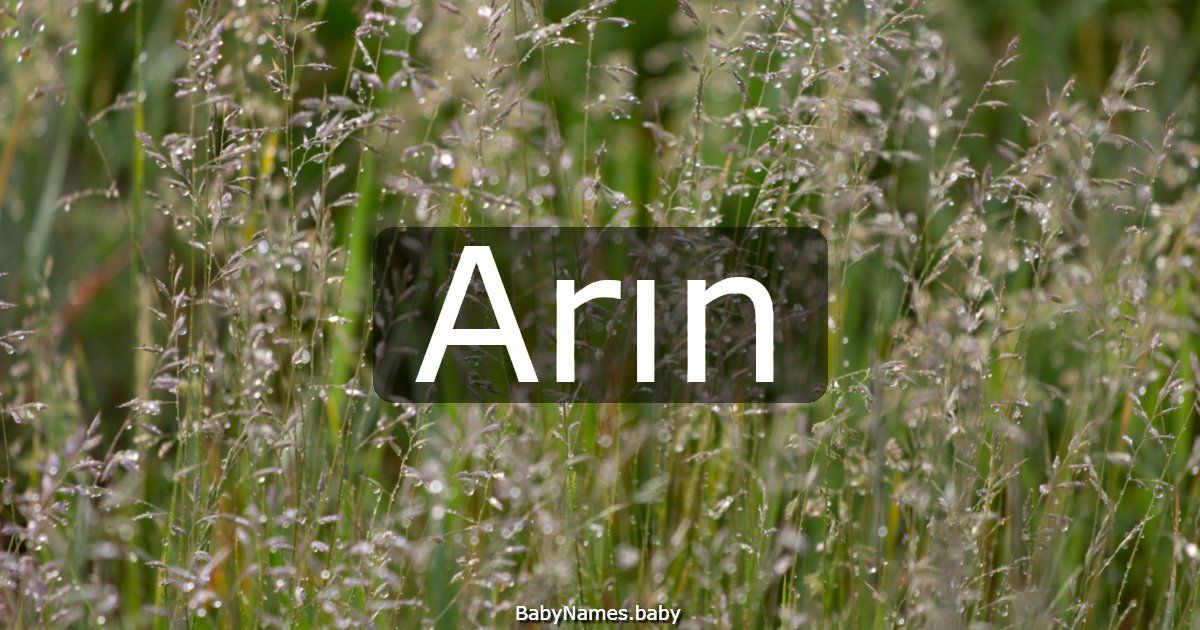 Arın