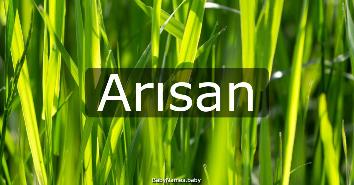Arısan