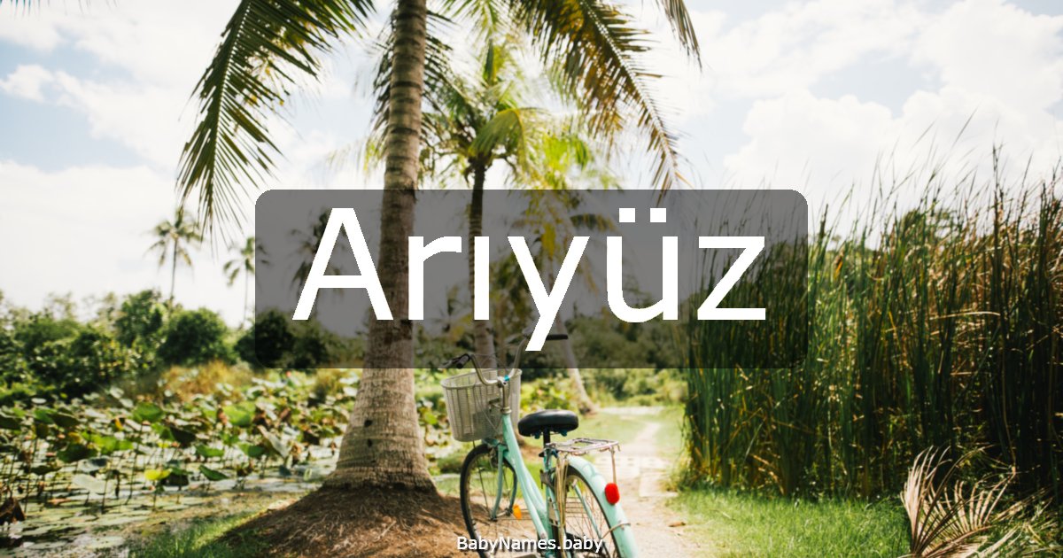 Arıyüz